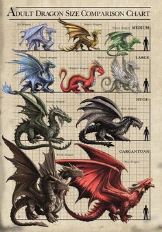 an image of different types of dragon