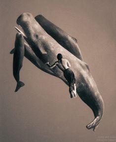 two people are swimming in the water near a whale