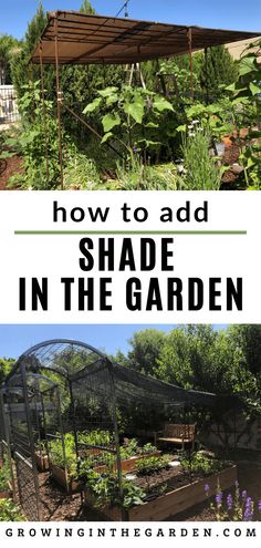 an image of a garden with the words how to add shade in the garden