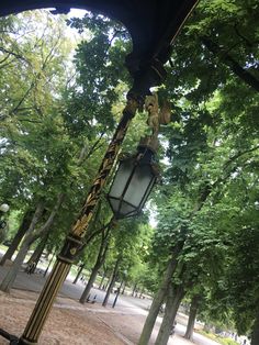 a lamp post in the middle of a park