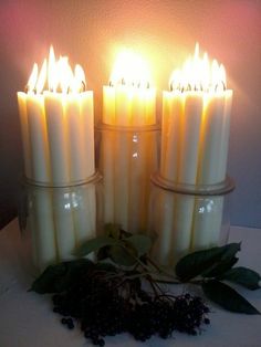 several lit candles sitting on top of a table next to some leaves and berries in front of a wall