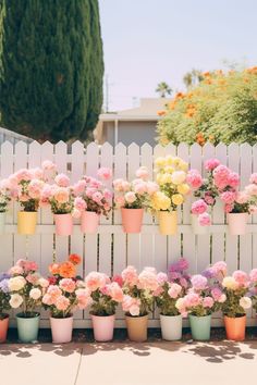 many potted flowers are lined up against a white fence