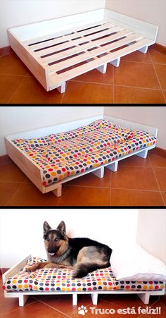 a dog laying on top of a bed made out of pallets and wooden slats