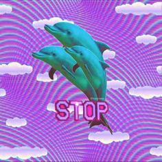 stop dolphins. Clout Collection, Tumblr Grunge, Space Grunge, Vaporwave Wallpaper, Iphone Art, Vaporwave Art, Cyberpunk Aesthetic, Vaporwave Aesthetic, Design Minimal