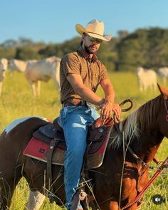 a man riding on the back of a brown horse in a field full of cattle