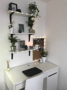 a white desk with some plants on it