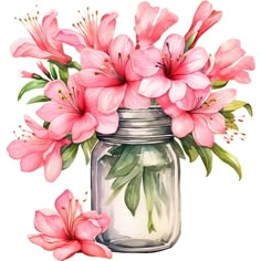 watercolor painting of pink flowers in a mason jar