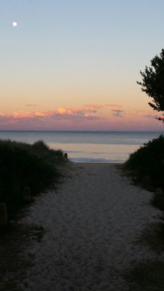 an empty path leading to the beach at sunset