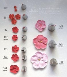 several different types of flowers are displayed on a white surface with numbers in the bottom right corner