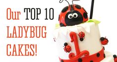 a ladybug cake with the words our top 10 ladybug cakes