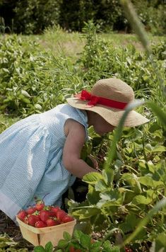 Picking Strawberries, Strawberry Farm, Strawberry Fields Forever, Farm Kids, Strawberry Picking, Strawberry Patch, Country Kids, Gardening Outfit, Down On The Farm