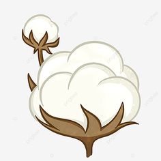 a cotton plant with three white balls on it, cartoon, illustration png and psd