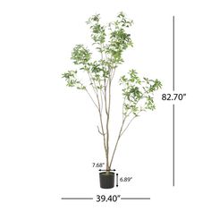 Primrue 82.7'' Artificial Eucalyptus Tree in Planter & Reviews | Wayfair Faux Eucalyptus Tree, Tree In Planter, Faux Eucalyptus, Artificial Eucalyptus, Faux Leaf, Eucalyptus Tree, Faux Greenery, Evergreen Plants, Noble House