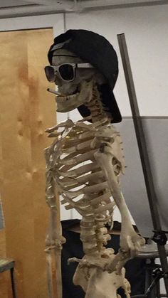 a skeleton wearing sunglasses and a hat