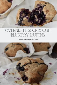 blueberry sourdough muffins are sitting on top of white parchment paper