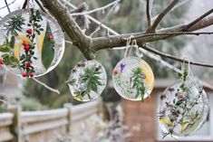 some glass ornaments hanging from a tree branch