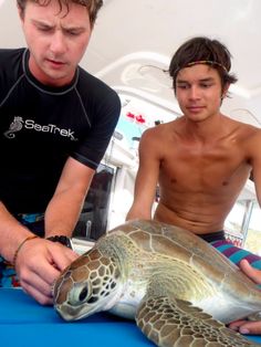 two men are looking at a turtle on a blue surface while another man is holding it