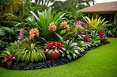 a garden filled with lots of different types of flowers