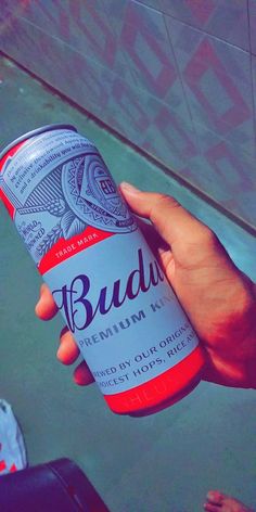 a hand holding a can of budus beer