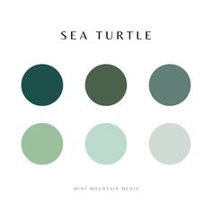 the sea turtle color scheme for mint mountain media's new album, sea turtle