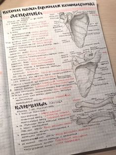 an open book with some drawings on it