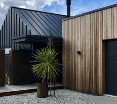 a house that has a plant in the front yard and two garages behind it