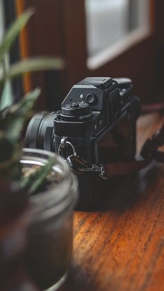 a camera sitting on top of a wooden table next to a potted green plant