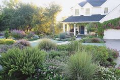 a house with lots of plants in front of it and a driveway leading to the front door