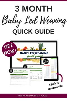 the 3 month baby led weaning quick guide is shown with text overlay