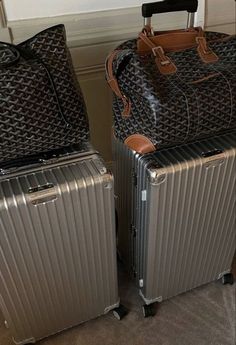 Rimowa Luggage, Goyard Tote, Airport Aesthetic, Luxury Luggage, City Of Lights, Goyard Bag, Future Lifestyle, Rich Kids