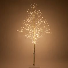 a lighted tree with white lights in the shape of branches on a wooden stand against a light brown background