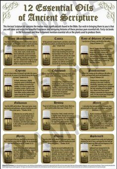 Desktop Banner, Essential Oils Herbs, Oil Remedies, Essential Oils Health, Essential Oil Blends Recipes, Essential Oils For Skin, Essential Oil Benefits, Living Essentials Oils