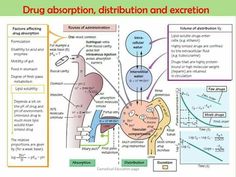 a diagram showing the different functions of an organ and its function in each other's body