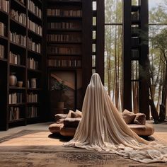 a room with bookshelves, couches and a veil on the floor