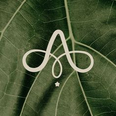 the letter a is placed on top of a leaf