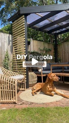 a brown dog laying on top of a rug under a pergola