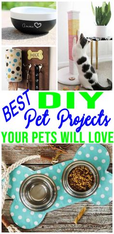 the best diy pet projects for your pets will love