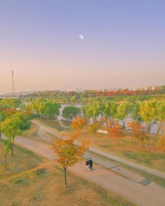 an aerial view of a park with trees and people walking on the path in the distance