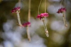 some pink flowers hanging from a tree branch