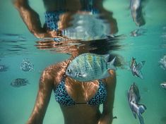 Frühling Wallpaper, Wow Photo, Malibu Barbie, Marine Biology, Island Girl