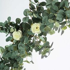 white roses and green leaves against a white background