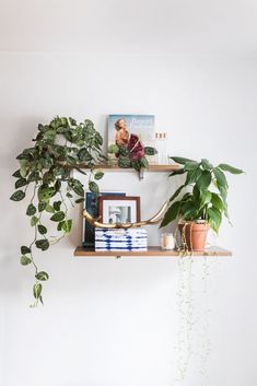 two shelves with plants and books on them