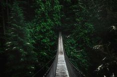 a suspension bridge in the middle of a forest