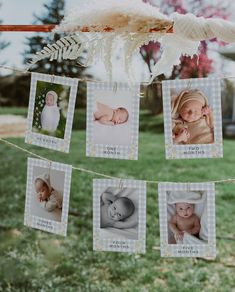 baby pictures hanging from a clothes line with feathers on it's head and in between them are photos of babies