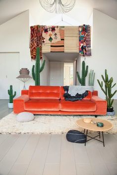 a living room filled with furniture and cactus plants