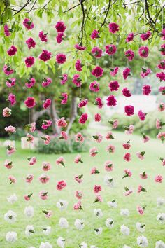 pink and white flowers hanging from the branches of a tree in front of a grassy field