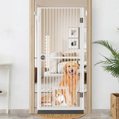 a dog is sitting in the door of a pet gate that has been opened to let people inside