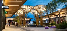 the entrance to an outdoor shopping mall at night with people walking around and trees lining the walkway