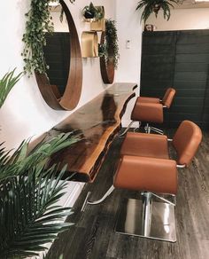 a wooden table with chairs and mirrors on the wall in a room filled with potted plants