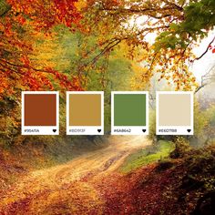 the colors of autumn are shown in this image